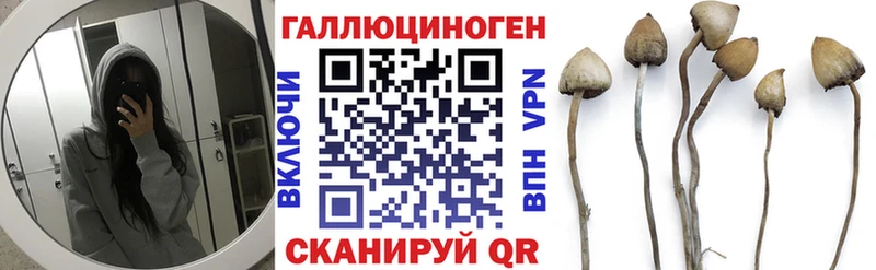 Купить  Новомосковск  Галлюциногенные грибы мухоморы 